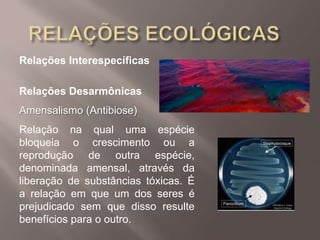 Relações Interespecíficas
Relações Desarmônicas
Amensalismo (Antibiose)
Relação na qual uma espécie
bloqueia o crescimento ou a
reprodução de outra espécie,
denominada amensal, através da
liberação de substâncias tóxicas. É
a relação em que um dos seres é
prejudicado sem que disso resulte
benefícios para o outro.
 