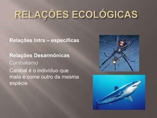 Relações Intra – específicas
Relações Desarmônicas
Canibalismo
Canibal é o indivíduo que
mata e come outro da mesma
espécie.
 