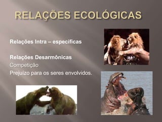 Relações Intra – específicas
Relações Desarmônicas
Competição
Prejuízo para os seres envolvidos.
 