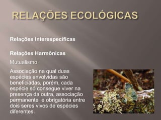 Relações Interespecíficas
Relações Harmônicas
Mutualismo
Associação na qual duas
espécies envolvidas são
beneficiadas, porém, cada
espécie só consegue viver na
presença da outra, associação
permanente e obrigatória entre
dois seres vivos de espécies
diferentes.
 