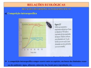 RELAÇÕES ECOLÓGICAS
RELAÇÕES DESARMÔNICAS INTRAESPECÍFICASRELAÇÕES DESARMÔNICAS INTRAESPECÍFICAS
a) Competição intraespecífica
 A competição intraespecífica sempre ocorre entre as espécies, em busca dos limitados recur-
sos do ambiente: água, alimento, minerais, luz, locais para reprodução, etc.
 