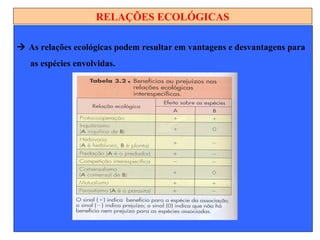 RELAÇÕES ECOLÓGICAS
 As relações ecológicas podem resultar em vantagens e desvantagens para
as espécies envolvidas.
 