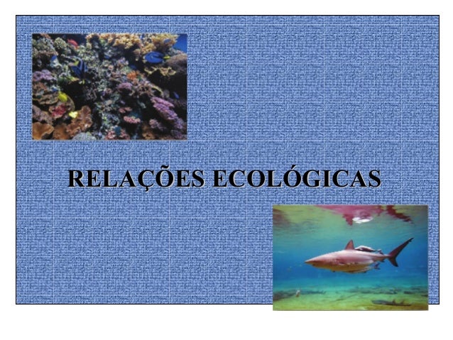 RELAÇÕES ECOLÓGICASRELAÇÕES ECOLÓGICAS 