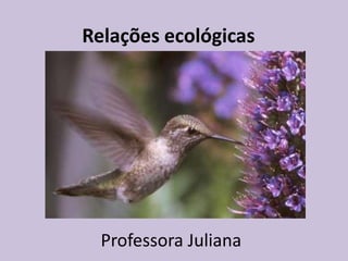 Relações ecológicas

Professora Juliana

 