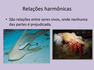 Relações harmônicas
• São relações entre seres vivos, onde nenhuma
das partes é prejudicada.

 
