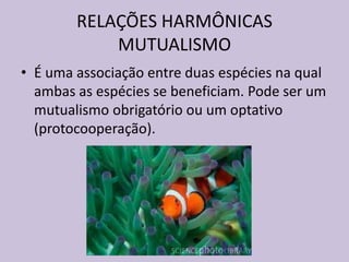 RELAÇÕES HARMÔNICAS
MUTUALISMO
• É uma associação entre duas espécies na qual
ambas as espécies se beneficiam. Pode ser um
mutualismo obrigatório ou um optativo
(protocooperação).

 