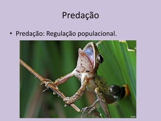 Predação
• Predação: Regulação populacional.

 