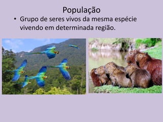 População

• Grupo de seres vivos da mesma espécie
vivendo em determinada região.

 