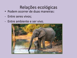 Relações ecológicas

• Podem ocorrer de duas maneiras:
- Entre seres vivos;
- Entre ambiente e ser vivo.

 