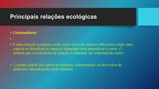 Principais relações ecológicas
• Comensalismo
•
• É uma relação ecológica entre seres vivos de espécies diferentes onde uma
espécie se beneficia no aspecto alimentar sem prejudicar a outra. O
animal que se beneficia na relação é chamado de comensal do outro.
• O peixe-piloto fica preso no tubarão, alimentando-se dos restos de
alimentos abandonados pelo tubarão.
 