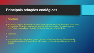 Principais relações ecológicas
• Parasitismo
•
• Relação ecológica desarmônica entre seres vivos de espécies diferentes onde uma
se beneficia, enquanto a outra sai prejudicada sem morrer. A espécie que se
beneficia é chamada de parasita, enquanto a outra é a hospedeira.
•
• Exemplos:
•
• - A relação entre carrapatos e uma capivara. Os carrapatos se alimentam do
sangue da capivara. A hospedeira não morre, porém sai prejudicada ao perder
sangue.
 
