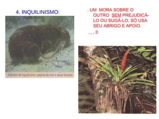 4. INQUILINISMO: . UM MORA SOBRE O
OUTRO SEM PREJUDICÁ-
LO OU SUGÁ-LO, SÓ USA
SEU ABRIGO E APOIO.
. + , 0
 