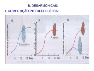B. DESARMÔNICAS:
1. COMPETIÇÃO INTERESPECÍFICA:
 