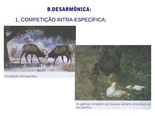 B.DESARMÔNICA:
1. COMPETIÇÃO INTRA-ESPECÍFICA:
 