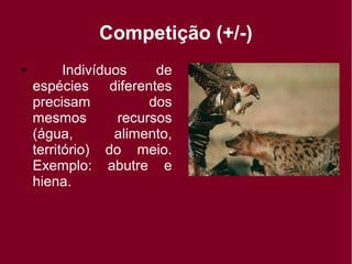 Competição (+/-)
● Indivíduos de
espécies diferentes
precisam dos
mesmos recursos
(água, alimento,
território) do meio.
Exemplo: abutre e
hiena.
 