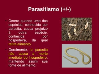 Parasitismo (+/-)
● Ocorre quando uma das
espécies, conhecida por
parasita, causa prejuízo
à outra espécie,
conhecida por
hospedeira, da qual
retira alimento.
● Geralmente, o parasita
não causa a morte
imediata do hospedeiro,
mantendo assim sua
fonte de alimento.
 