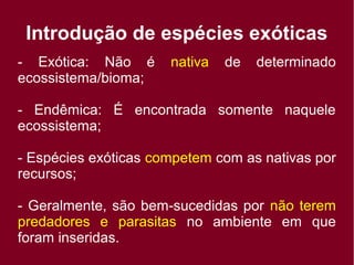 Introdução de espécies exóticas
- Exótica: Não é nativa de determinado
ecossistema/bioma;
- Endêmica: É encontrada somente naquele
ecossistema;
- Espécies exóticas competem com as nativas por
recursos;
- Geralmente, são bem-sucedidas por não terem
predadores e parasitas no ambiente em que
foram inseridas.
 