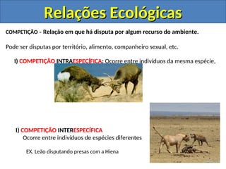 COMPETIÇÃO – Relação em que há disputa por algum recurso do ambiente.
Pode ser disputas por território, alimento, companheiro sexual, etc.
I) COMPETIÇÃO INTRAESPECÍFICA: Ocorre entre indivíduos da mesma espécie,
I) COMPETIÇÃO INTERESPECÍFICA
Ocorre entre indivíduos de espécies diferentes
EX. Leão disputando presas com a Hiena
Relações Ecológicas
Relações Ecológicas
 