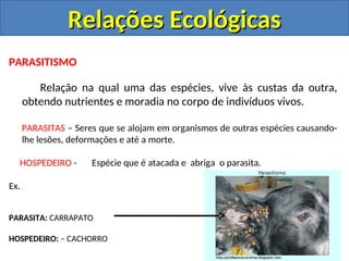 PARASITISMO
Relação na qual uma das espécies, vive às custas da outra,
obtendo nutrientes e moradia no corpo de indivíduos vivos.
PARASITAS – Seres que se alojam em organismos de outras espécies causando-
lhe lesões, deformações e até a morte.
HOSPEDEIRO - Espécie que é atacada e abriga o parasita.
Ex.
PARASITA: CARRAPATO
HOSPEDEIRO: – CACHORRO
Relações Ecológicas
Relações Ecológicas
 
