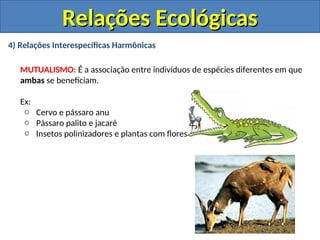 4) Relações Interespecíficas Harmônicas
MUTUALISMO: É a associação entre indivíduos de espécies diferentes em que
ambas se beneficiam.
Ex:
o Cervo e pássaro anu
o Pássaro palito e jacaré
o Insetos polinizadores e plantas com flores
Relações Ecológicas
Relações Ecológicas
 