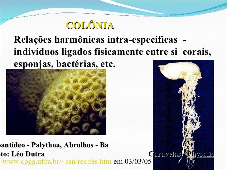 Relações ecológicas 2