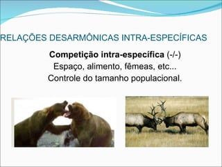 RELAÇÕES DESARMÔNICAS INTRA-ESPECÍFICAS Competição intra-específica  (-/-) Espaço, alimento, fêmeas, etc... Controle do tamanho populacional. 