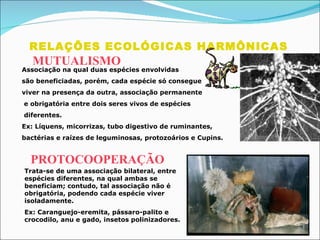 RELAÇÕES ECOLÓGICAS HARMÔNICAS  MUTUALISMO PROTOCOOPERAÇÃO Associação na qual duas espécies envolvidas  são beneficiadas, porém, cada espécie só consegue  viver na presença da outra, associação permanente e obrigatória entre dois seres vivos de espécies diferentes. Ex: Líquens, micorrizas, tubo digestivo de ruminantes, bactérias e raízes de leguminosas, protozoários e Cupins. Trata-se de uma associação bilateral, entre espécies diferentes, na qual ambas se beneficiam; contudo, tal associação não é obrigatória, podendo cada espécie viver isoladamente. Ex: Caranguejo-eremita, pássaro-palito e crocodilo, anu e gado, insetos polinizadores.                                                                           