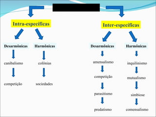 Relações Ecológicas Intra-específicas Desarmônicas Harmônicas competição canibalismo colônias sociedades Inter-específicas Desarmônicas Harmônicas mutualismo simbiose inquilinismo parasitismo competição amensalismo predatismo comensalismo 