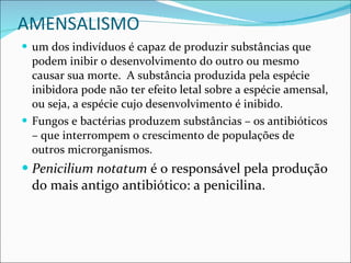 AMENSALISMO um dos indivíduos é capaz de produzir substâncias que podem inibir o desenvolvimento do outro ou mesmo causar sua morte.  A substância produzida pela espécie inibidora pode não ter efeito letal sobre a espécie amensal, ou seja, a espécie cujo desenvolvimento é inibido.  Fungos e bactérias produzem substâncias – os antibióticos – que interrompem o crescimento de populações de outros microrganismos. Penicilium notatum  é o responsável pela produção do mais antigo antibiótico: a penicilina.  