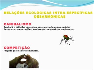 RELAÇÕES ECOLÓGICAS INTRA-ESPECÍFICAS DESARMÔNICAS  CANIBALISMO Canibal é o indivíduo que mata e come outro da mesma espécie.  Ex.: ocorre com escorpiões, aranhas, peixes, planárias, roedores, etc. COMPETIÇÃO Prejuízo para os seres envolvidos.                                                                              