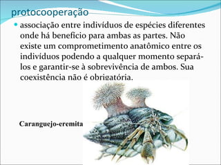 protocooperação associação entre indivíduos de espécies diferentes onde há benefício para ambas as partes. Não existe um comprometimento anatômico entre os indivíduos podendo a qualquer momento separá-los e garantir-se à sobrevivência de ambos. Sua coexistência não é obrigatória.  Caranguejo-eremita 
