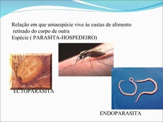 Relação em que umaespécie vive às custas de alimento retirado do corpo de outra Espécie ( PARASITA-HOSPEDEIRO)  ECTOPARASITA ENDOPARASITA 