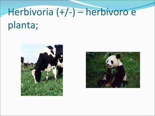 Herbivoria (+/-) – herbívoro e planta; 