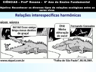 Relações interespecíficas harmônicas
Mutualismo:
b) Facultativo (Protocooperação):
– relação na qual determinadas
espécies, embora possam
viver sozinhas, associam-se
em troca de benefícios;
– exemplos: caranguejo-eremita e
anêmona-do-mar, pássaro-
palito e crocodilo.
Imagem: Janderk/ Public Domain
CIÊNCIAS, 7º Ano do Ensino Fundamental
Reconhecer os diversos tipos de relações ecológicas
entre os seres vivos
CIÊNCIAS – Profª Rosana - 6º Ano do Ensino Fundamental
Objetivo: Reconhecer os diversos tipos de relações ecológicas entre os
seres vivos
 
