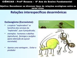 Relações interespecíficas desarmônicas
Esclavagismo (Escravismo):
• a espécie “exploradora” se
beneficia dos serviços da
“explorada”, que é prejudicada;
• exemplos: humanos e abelhas
(apicultura), formigas e pulgões
(para obtenção do açúcar
excretado).
• Apenas uma vantagem... Evitar o
predador
Imagem: Souss-Massa National Park/ Creative Commons
Attribution-Share Alike 3.0 Unported
CIÊNCIAS, 7º Ano do Ensino Fundamental
Reconhecer os diversos tipos de relações ecológicas
entre os seres vivos
CIÊNCIAS – Profª Rosana - 6º Ano do Ensino Fundamental
Objetivo: Reconhecer os diversos tipos de relações ecológicas entre os
seres vivos
 