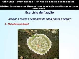 Exercício de fixação
1. Mutualismo (simbiose):
Indicar a relação ecológica de cada figura a seguir:
CIÊNCIAS, 7º Ano do Ensino Fundamental
Reconhecer os diversos tipos de relações ecológicas
entre os seres vivos
CIÊNCIAS – Profª Rosana - 6º Ano do Ensino Fundamental
Objetivo: Reconhecer os diversos tipos de relações ecológicas entre os
seres vivos
 