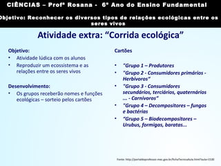 Atividade extra: “Corrida ecológica”
Objetivo:
• Atividade lúdica com os alunos
• Reproduzir um ecossistema e as
relações entre os seres vivos
Desenvolvimento:
• Os grupos receberão nomes e funções
ecológicas – sorteio pelos cartões
Cartões
• "Grupo 1 – Produtores
• "Grupo 2 - Consumidores primários -
Herbívoros“
• "Grupo 3 - Consumidores
secundários, terciários, quaternários
... - Carnívoros“
• "Grupo 4 – Decompositores – fungos
e bactérias
• “Grupo 5 – Biodecompositores –
Urubus, formigas, baratas...
Fonte: http://portaldoprofessor.mec.gov.br/fichaTecnicaAula.html?aula=1530
CIÊNCIAS, 7º Ano do Ensino Fundamental
Reconhecer os diversos tipos de relações ecológicas
entre os seres vivos
CIÊNCIAS – Profª Rosana - 6º Ano do Ensino Fundamental
Objetivo: Reconhecer os diversos tipos de relações ecológicas entre os
seres vivos
 