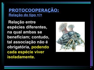 Relação entre
espécies diferentes,
na qual ambas se
beneficiam; contudo,
tal associação não é
obrigatória, podendo
cada espécie viver
isoladamente.
PROTOCOOPERAÇÃO:
Relação do tipo +/+
 