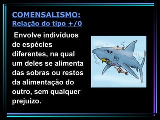 Envolve indivíduos
de espécies
diferentes, na qual
um deles se alimenta
das sobras ou restos
da alimentação do
outro, sem qualquer
prejuízo.
COMENSALISMO:
Relação do tipo +/0
 