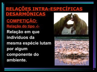 RELAÇÕES INTRA-ESPECÍFICAS
DESARMÔNICAS
COMPETIÇÃO:
Relação do tipo -/-
Relação em que
indivíduos da
mesma espécie lutam
por algum
componente do
ambiente.
 