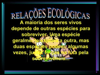 A maioria dos seres vivos
depende de outras espécies para
sobreviver. Uma espécie
geralmente explora a outra, mas
duas espécies podem, algumas
vezes, juntar forças na luta pela
sobrevivência...
 