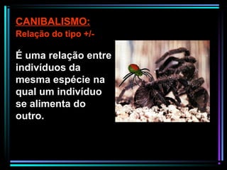 É uma relação entre
indivíduos da
mesma espécie na
qual um indivíduo
se alimenta do
outro.
CANIBALISMO:
Relação do tipo +/-
 