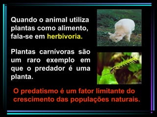 O predatismo é um fator limitante do
crescimento das populações naturais.
Plantas carnívoras são
um raro exemplo em
que o predador é uma
planta.
Quando o animal utiliza
plantas como alimento,
fala-se em herbivoria.
 