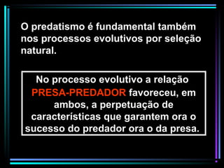 No processo evolutivo a relação
PRESA-PREDADOR favoreceu, em
ambos, a perpetuação de
características que garantem ora o
sucesso do predador ora o da presa.
O predatismo é fundamental também
nos processos evolutivos por seleção
natural.
 