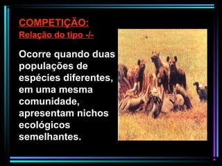 COMPETIÇÃO:
Relação do tipo -/-
Ocorre quando duas
populações de
espécies diferentes,
em uma mesma
comunidade,
apresentam nichos
ecológicos
semelhantes.
 