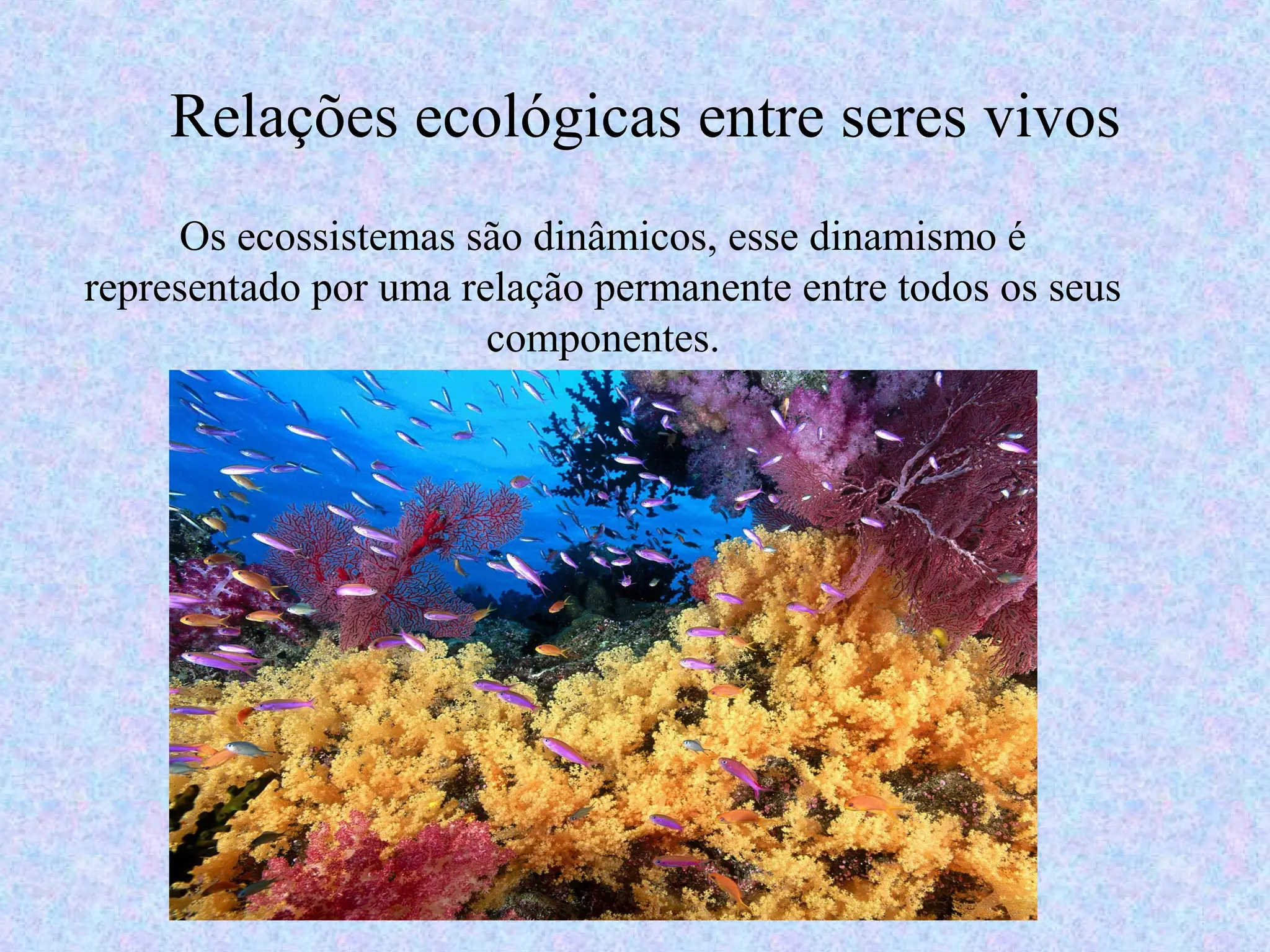 Relações ecológicas entre seres vivos | PPT