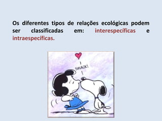 Os diferentes tipos de relações ecológicas podem
ser classificadas em: interespecíficas e
intraespecíficas.
 