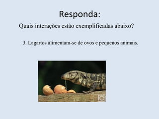 Responda:
Quais interações estão exemplificadas abaixo?
3. Lagartos alimentam-se de ovos e pequenos animais.
 