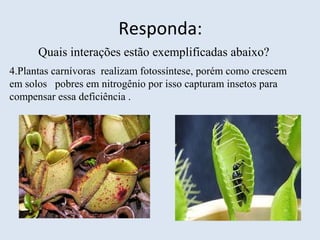 Responda:
Quais interações estão exemplificadas abaixo?
4.Plantas carnívoras realizam fotossíntese, porém como crescem
em solos pobres em nitrogênio por isso capturam insetos para
compensar essa deficiência .
 