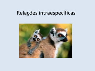 Relações intraespecíficas
 